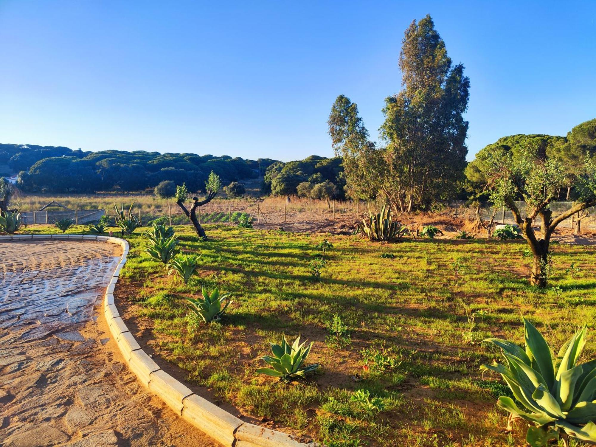 Villa Hacienda La Yerbabuena à Cadix Extérieur photo